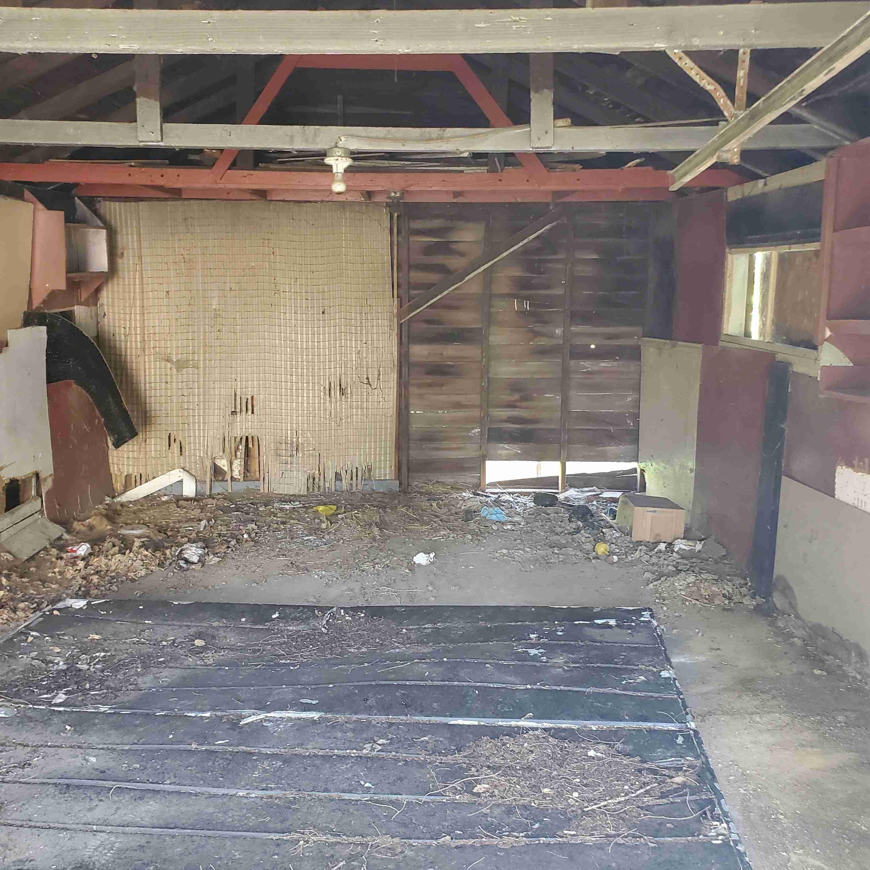 20200812_154017 (2).jpg